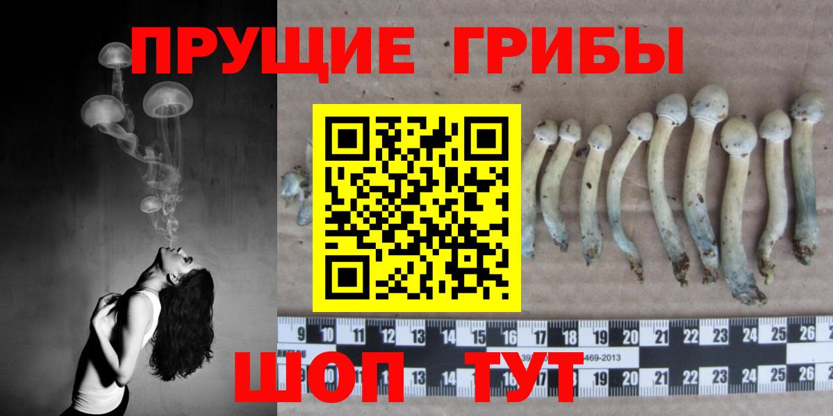 Галлюциногенные грибы Psilocybine cubensis  Вход с VPN  Галлюциногенные грибы Cubensis  Белово 